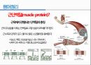 통증생리,통즈으이정의,글곡격계,신경계,말초신경계,감각수용기 9페이지