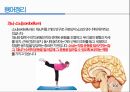 통증생리,통즈으이정의,글곡격계,신경계,말초신경계,감각수용기 29페이지