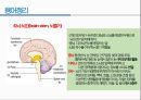 통증생리,통즈으이정의,글곡격계,신경계,말초신경계,감각수용기 30페이지