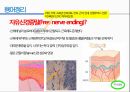 통증생리,통즈으이정의,글곡격계,신경계,말초신경계,감각수용기 53페이지