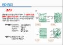 통증생리,통즈으이정의,글곡격계,신경계,말초신경계,감각수용기 55페이지