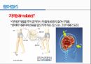 통증생리,통즈으이정의,글곡격계,신경계,말초신경계,감각수용기 59페이지