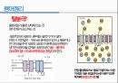 통증생리,통즈으이정의,글곡격계,신경계,말초신경계,감각수용기 61페이지