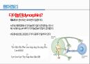 통증생리,통즈으이정의,글곡격계,신경계,말초신경계,감각수용기 82페이지