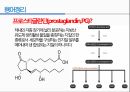 통증생리,통즈으이정의,글곡격계,신경계,말초신경계,감각수용기 90페이지