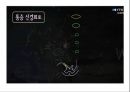 통증의지각과전달과정,통증의신경전달,통증신경회로,연관통증,근막통증후근,척수의신경로,오름조절,통증인지,전기치료 11페이지