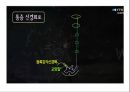 통증의지각과전달과정,통증의신경전달,통증신경회로,연관통증,근막통증후근,척수의신경로,오름조절,통증인지,전기치료 14페이지