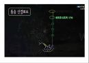 통증의지각과전달과정,통증의신경전달,통증신경회로,연관통증,근막통증후근,척수의신경로,오름조절,통증인지,전기치료 16페이지
