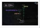 통증의지각과전달과정,통증의신경전달,통증신경회로,연관통증,근막통증후근,척수의신경로,오름조절,통증인지,전기치료 20페이지