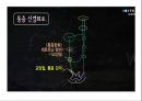 통증의지각과전달과정,통증의신경전달,통증신경회로,연관통증,근막통증후근,척수의신경로,오름조절,통증인지,전기치료 25페이지