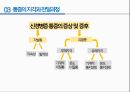 통증의지각과전달과정,통증의신경전달,통증신경회로,연관통증,근막통증후근,척수의신경로,오름조절,통증인지,전기치료 31페이지