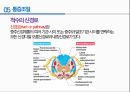 통증의지각과전달과정,통증의신경전달,통증신경회로,연관통증,근막통증후근,척수의신경로,오름조절,통증인지,전기치료 40페이지