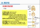 통증의지각과전달과정,통증의신경전달,통증신경회로,연관통증,근막통증후근,척수의신경로,오름조절,통증인지,전기치료 45페이지