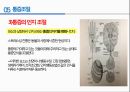 통증의지각과전달과정,통증의신경전달,통증신경회로,연관통증,근막통증후근,척수의신경로,오름조절,통증인지,전기치료 46페이지