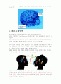 뇌의 언어처리기관 중 브로카 영역과 베르니케 영역을 비교하시오. 2페이지