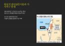 IS와 가자지구,극단주의 무장단체,테러단체,IS 테러리즘,IS공습,가자지구 분쟁 16페이지