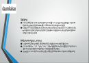 SNS란,소셜 미디어 산업이란,한국의 SNS 시장,한국 인터넷 환경,SNS 시장의 특성,카카오톡,라인,페이스북 24페이지