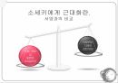 내셔널 아이덴티티 젠더,나쓰메 소세키,제국의 위안부,소세키의 문명관,개화주의,개인주의,메이지유신 41페이지
