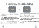 베트남 시장,기업 국제화,현지화,생수시장 글로벌,생수시장 현지화,생수시장 분석,생수시장 유통 18페이지