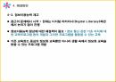 정보사회의 이해,정보격차,정보격차 정의,정보격차 원인,유비쿼터스 시대,정보해독력 정보격차 29페이지