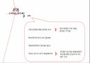 피임과 여성 건강,한국 성교육의 실태,청소년의 피임,콘돔,먹는피임약,대학생의 피임 27페이지