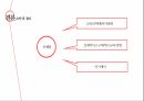 피임과 여성 건강,한국 성교육의 실태,청소년의 피임,콘돔,먹는피임약,대학생의 피임 34페이지