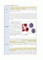 아동 인플루엔자 influenza B virus 간호과정 case study [간호진단 5개, 여러개사지말고 이거하나로끝내세요]] 2페이지