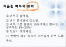 겨울철 피부관리 방법에 관한 발표자료 5페이지