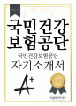 국민건강보험공단 자기소개서 2개 1페이지