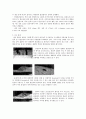 아연도금 강판의 용접 특성 2페이지