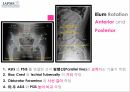 요추-골반의 방사선(x-ray) 분석법 7페이지