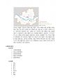 트래디셔널 브랜드 매장 분석 6페이지