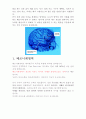 언어발달장애 - 뇌의 언어처리기관 중 브로카 영역과 베르니케 영역을 비교하시오. 2페이지