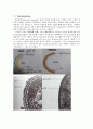 [환경] 화학 레포트 Gram staining 2페이지