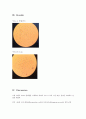 [환경] 화학 레포트 Gram staining 5페이지