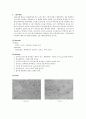 [환경] 화학 레포트 How to use microscope 4페이지