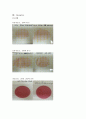 [환경] 화학 레포트 건조배지 이용법 4페이지