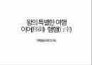 의궤로 보는 풍습 18페이지