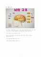 뇌졸중 2페이지