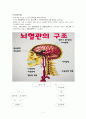 뇌졸중 3페이지