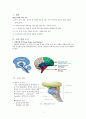 외상의 생물학적 토대 2페이지