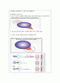 운동장애 14페이지