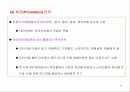 인터넷 마케팅 전략수립 21페이지