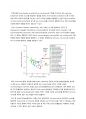 응용미생물학 정리 Microbial taxonomy (+논문소개-개미를 먹는 포유류의 장내미생물 연구) 4페이지