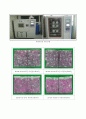 시험방법_촉진탄산화 KS F 2584 & 동결융해 KS F 2456 2페이지