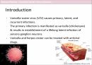 VZV_Varicella zoster virus infection_소아청소년과_감염내과_발표자료 2페이지
