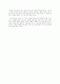 조국현상을 말한다 독후감 4페이지