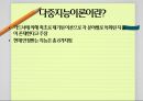 다중지능이론,하워드 가드너,다중지능이론의 사례,우리나라의 현실,다중지능의 종류,논리수학지능 4페이지