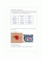 생물실험: 호밀 이삭을 이용한 감수분열 관찰 4페이지
