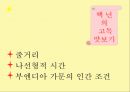 환상과 현실,사실을 가장한 환상,문학 이론을 소설화,형이상학적 주제,마술적 리얼리즘 14페이지